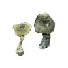 Buy Albino Cambodians Magic Mushrooms