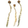 Buy Arenal Volcano Magic Mushrooms