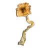 Buy Premium B+ Magic Mushrooms Online